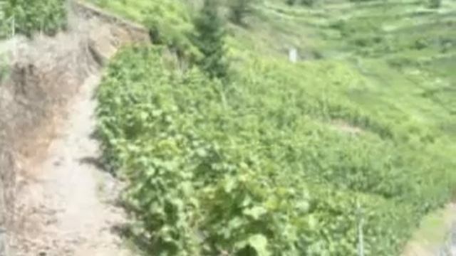 Alken смотреть онлайн