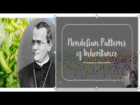 MENDELIAN PATTERNS OF INHERITANCE (Science 8, Quarter 4, Module 3, Week 3) смотреть онлайн
