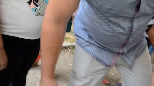 Спасение кота Севастополь смотреть онлайн