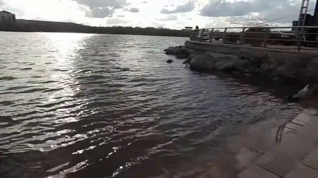 2018 05 01 Прогулка по парку DD смотреть онлайн
