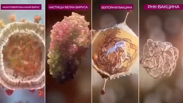 Стопкоронавирус смотреть онлайн