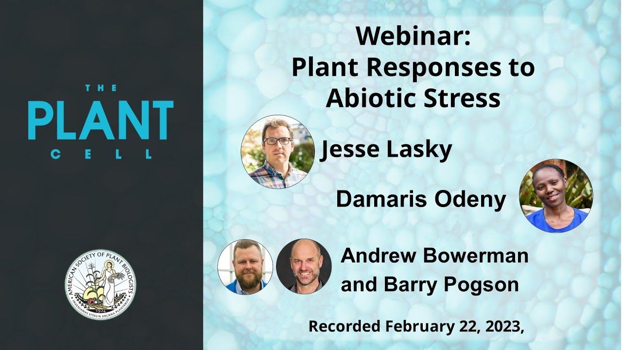 Plant Cell Webinar: Crop Breeding for Climate Resilience смотреть онлайн