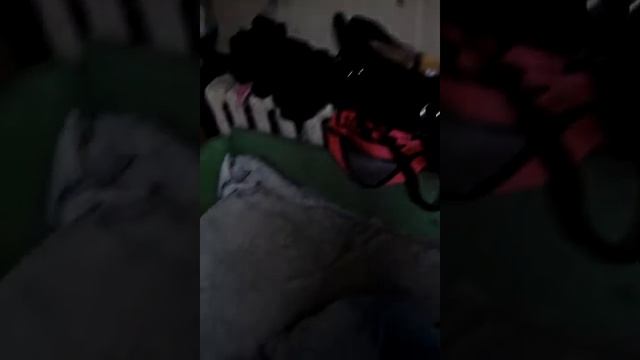 Новый челеньч!!!И сказка Али-Баба! Что происходит?! смотреть онлайн