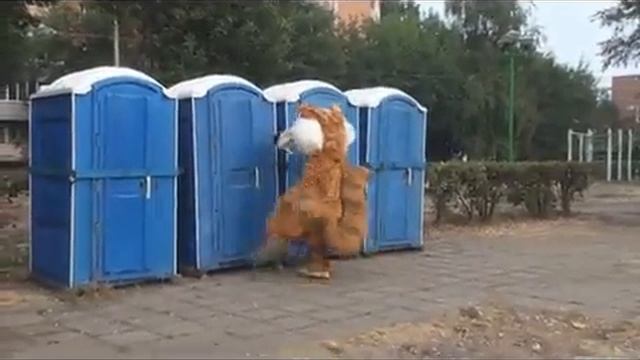 Белка(угар).300.mp4 смотреть онлайн