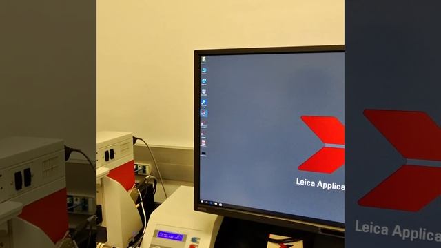 cryoCLEM scopestartup_05 start lasx, the software that controls the microscope смотреть онлайн