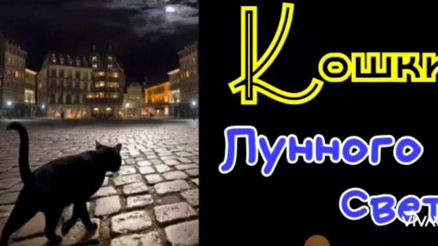 СКАЗКА Кошки Лунного Света /рассказ/ смотреть онлайн
