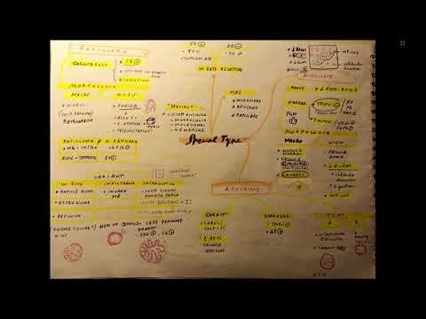 Mammella - anatomia patologica - tutti i tumori e carcinomi смотреть онлайн