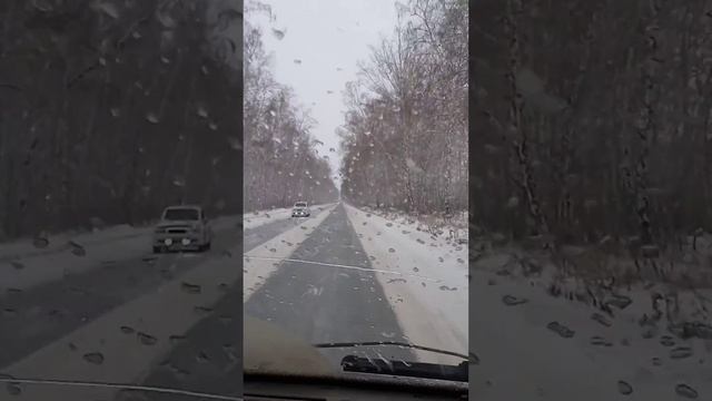 Амур омск смотреть онлайн
