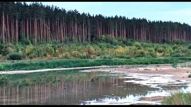 Н Панченко Стены #философскаялирика #поэзия20века смотреть онлайн