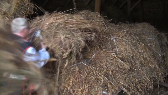 Приглашение на День польской культуры смотреть онлайн