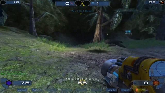 Unreal Tournament 2003 - #14 Sepukku Gorge смотреть онлайн