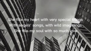 Andy Williams - Where Do I Begin (lyrics)