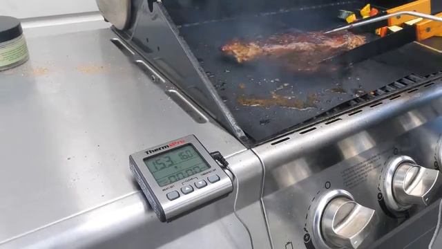 Termômetro Digital Alimentos Com Sonda Thermopro Tp-16s Thermopro