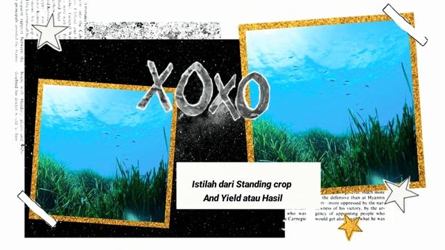 PRODUKTIVITAS LAMUN/ ILMU KELAUTAN 🇲🇨 смотреть онлайн