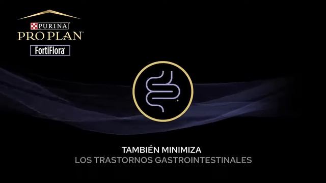 Fortiflora un probiótico para mascotas con beneficios demostrados - Piensoymascotas смотреть онлайн