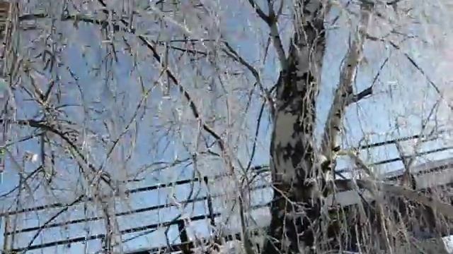 Вышгора : Склон ( Градусник это сложный прибор) смотреть онлайн