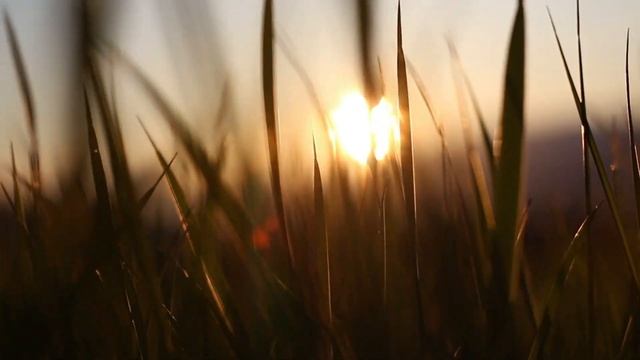 Шеъри точики смотреть онлайн