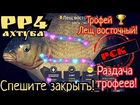 РР4. Раздача Трофеев Леща Восточного на Ахтубе! Где и на что!? 4 часа реальной ловли! смотреть онлайн