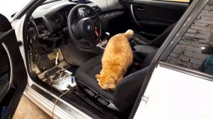 BMW 1 2011г.в. Установлена сигнализация с автозапуском StarLine S96. Изготовлен эмулятор слота ключа