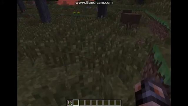 1 7 BIOMES!!! смотреть онлайн