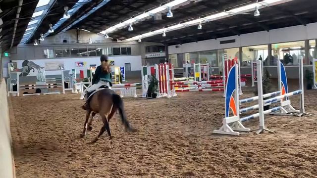Sofia & Kitty in 80cm Ponycriterium- Alken 23/02/19 смотреть онлайн