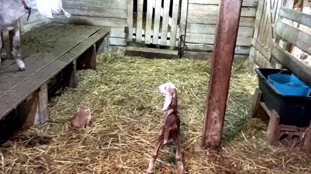 УГОВАРИВАЮ НАТАШУ ОТКРЫТЬ КАНАЛ смотреть онлайн