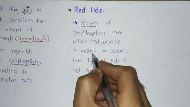Plant like protist algae | brown, red And green algae | Class 11 Biology смотреть онлайн