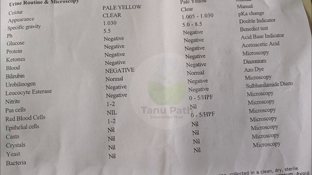 urine test report kaise dekhe | urine routine test report explain смотреть онлайн
