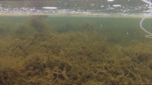 Красота Ахтарских лиманов. смотреть онлайн