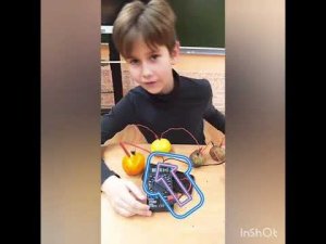 Батарейка из овощей и фруктов.