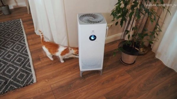 Как ОБМАНЫВАЮТ при выборе Очистителя воздуха / Как выбрать очиститель воздуха для дома?