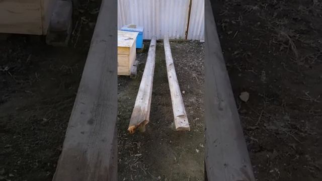 Поимка мыши в улье, установка второй скамейки подставки