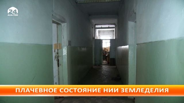 Институт земледелия в плачевном состоянии смотреть онлайн