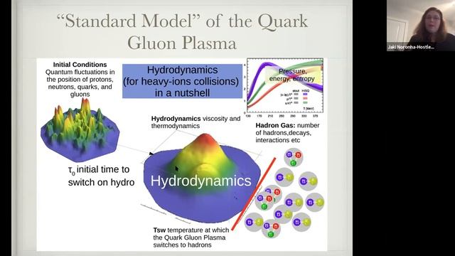 Nature's most extreme fluid -- the Quark Gluon Plasma смотреть онлайн