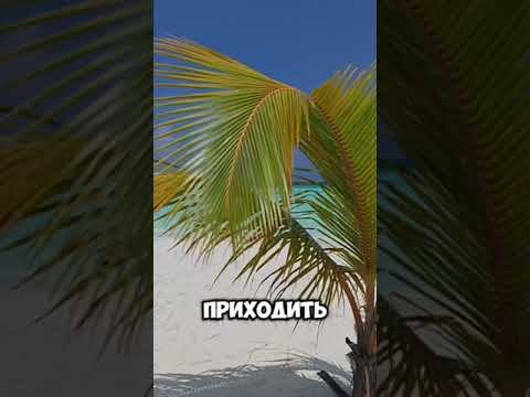 24 июня 2024 г. Понедельник. Лунный календарь. Рекомендации на сегодня. смотреть онлайн