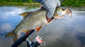 МОЙ ИДЕАЛЬНЫЙ ЛАЙТ СПИННИНГ/ ОБЗОР YAMAGA BLANKS BLUECURRENT 73 All-Range TZ/NANO Professor