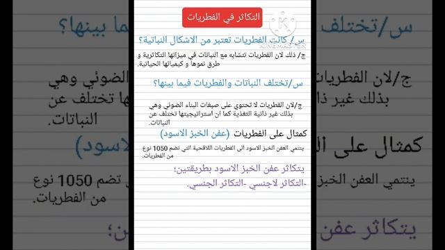 احياء سادس علمي التكاثر في الفطريات