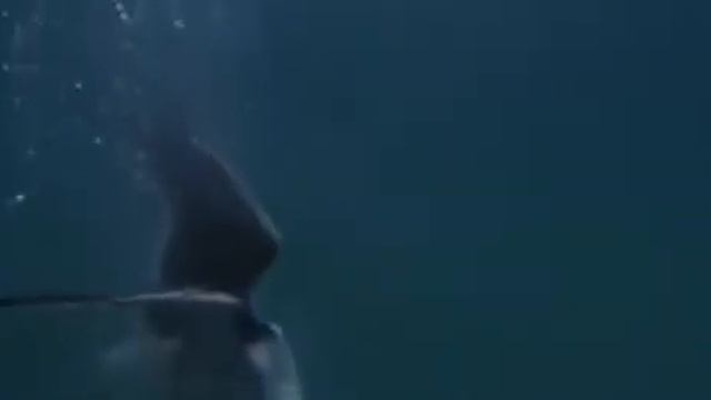 фрагмент фильма смотреть онлайн