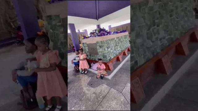 A school trip from Berbice to the Botanica Garden in GeorgeTown. Show casing beautiful Guyana 🇬🇾. смотреть онлайн