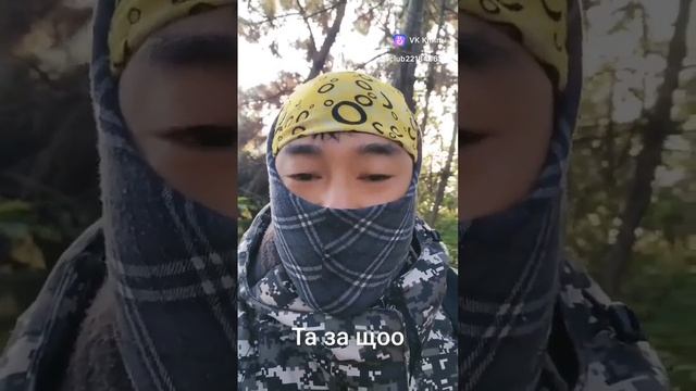 vkclips_20241129020041 смотреть онлайн