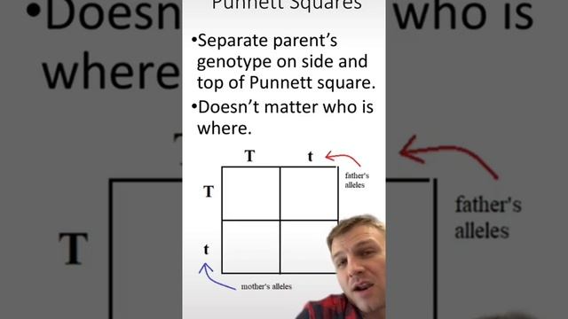 punnett squares#biology #biology #education #biology #biology смотреть онлайн