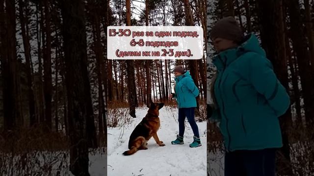 Учим трюк Кружок смотреть онлайн