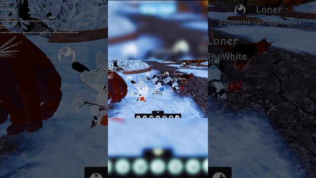 #shorts Коты Воители ОтдыхаютРоблокс - Roblox Warrior Cats Ultimate Edition смотреть онлайн