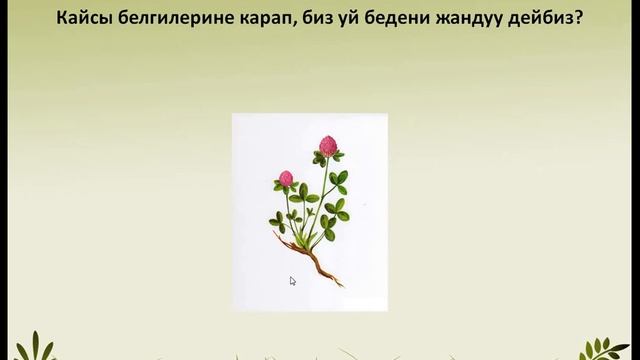 Жандуу организмдердин өзгөчөлүгү жана айлана-чөйрөсү. смотреть онлайн