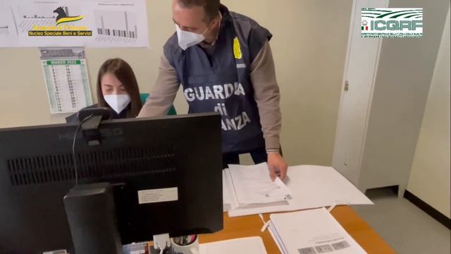 Operazione “Verum et Oleum” Guardia di Finanza: oltre 2,3 milioni di litri d'olio non conformi VIDE смотреть онлайн