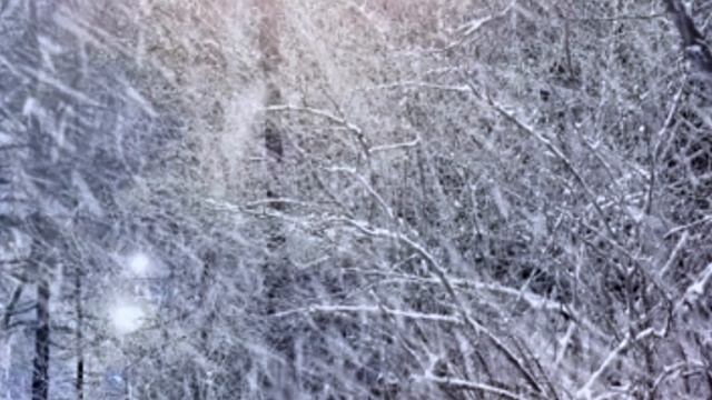 Снежинка Стихи: Владимир Курочкин Музыка, исп: Алексей Кракин смотреть онлайн