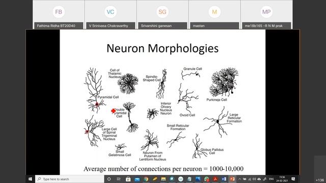 7. BT5270 Neuron and Neuron signaling смотреть онлайн