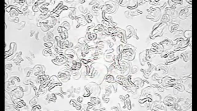 Grayns Rice Cooker - A Full Story смотреть онлайн