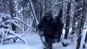 Прибайкалье. Охота на медведя в берлоге.