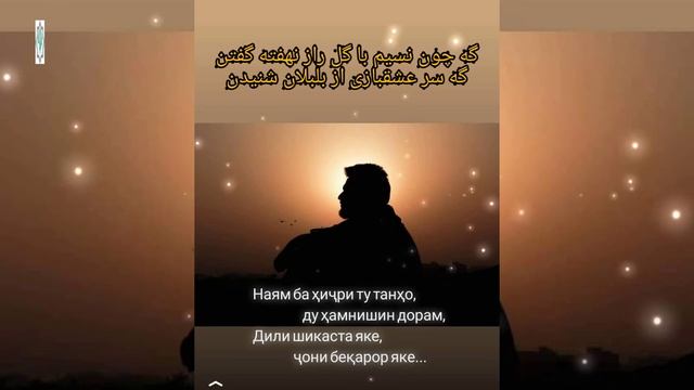 ДОНӢ, КИ ЧИСТ ДАВЛАТ? - ДИДОРИ ЁР ДИДАН... Ба мавлиди дӯст ва бародари гиромӣ... смотреть онлайн